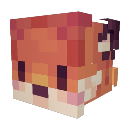 WiktorrrK Minecraft avatar head, 3D render