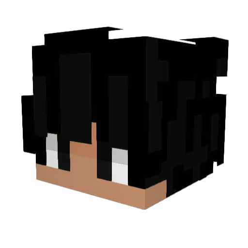 Wil98 Minecraft avatar head, 3D render