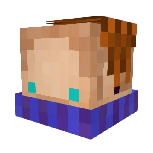 Wil Minecraft avatar head, 3D render