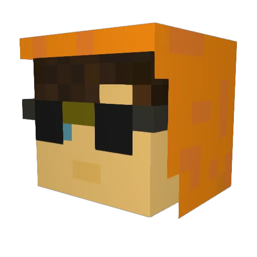 WilDPaRR0t Minecraft avatar head, 3D render