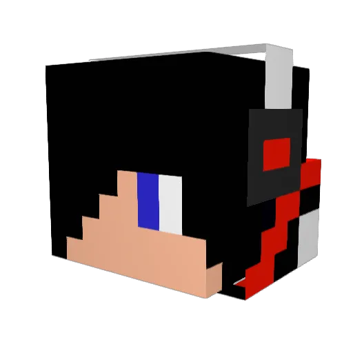 WilXGames Minecraft avatar head, 3D render