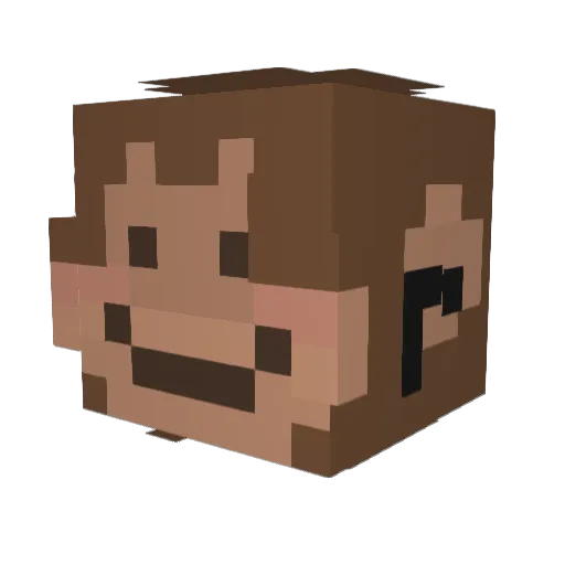 Wilbec Minecraft avatar head, 3D render