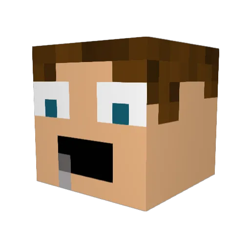 WilcoKun Minecraft avatar head, 3D render