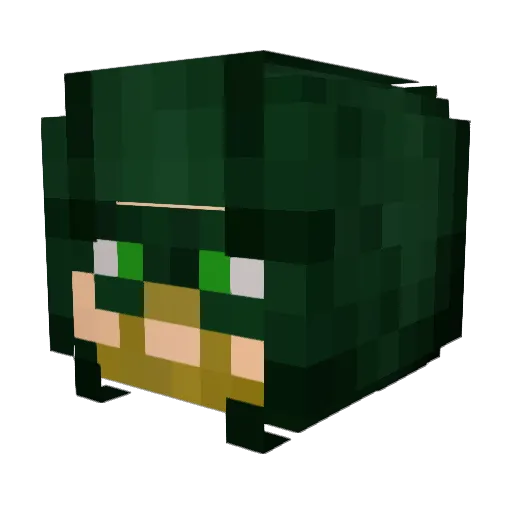 Wilcorn55 Minecraft avatar head, 3D render