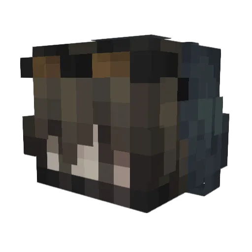 Wilczycaaa Minecraft avatar head, 3D render