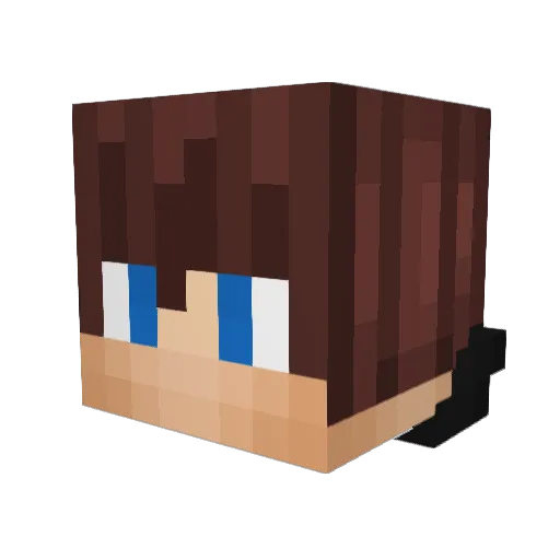 Wild704 Minecraft avatar head, 3D render