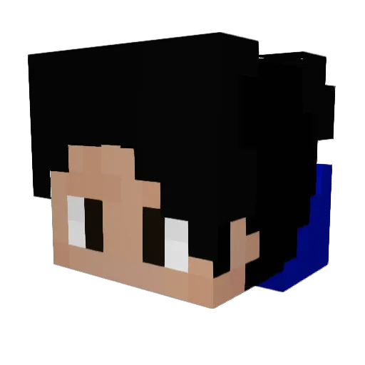 WildAl3 Minecraft avatar head, 3D render