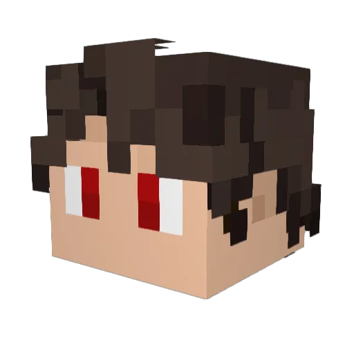 WildBirdDog27 Minecraft avatar head, 3D render