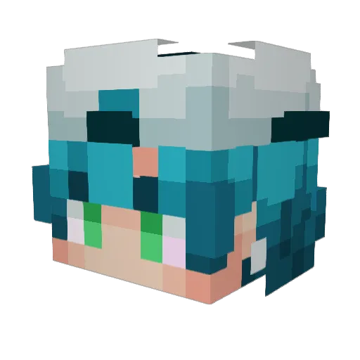 WildBrainz Minecraft avatar head, 3D render