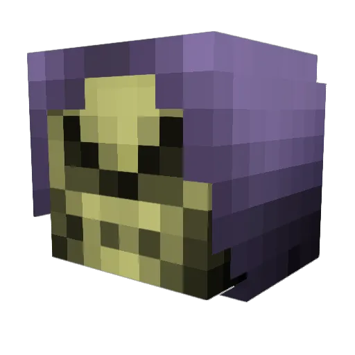 WildCat5000 Minecraft avatar head, 3D render