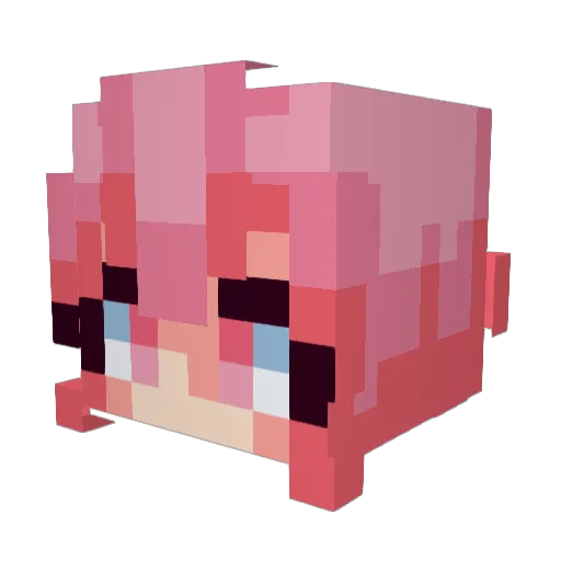 WildCatra Minecraft avatar head, 3D render