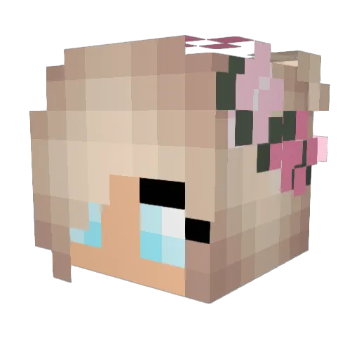 WildCookieKat Minecraft avatar head, 3D render