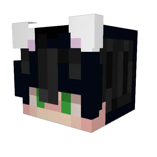 WildFire025 Minecraft avatar head, 3D render