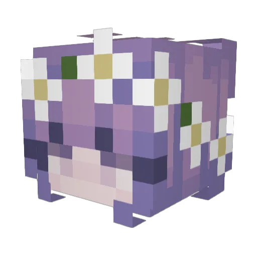 WildFox4 Minecraft avatar head, 3D render