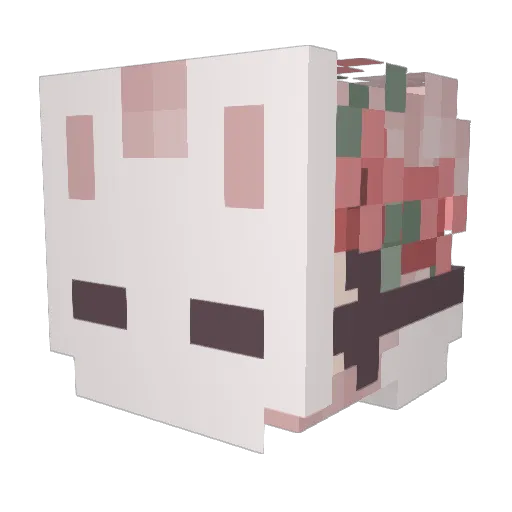 WildGamerBoo Minecraft avatar head, 3D render