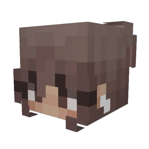 WildGooner Minecraft avatar head, 3D render