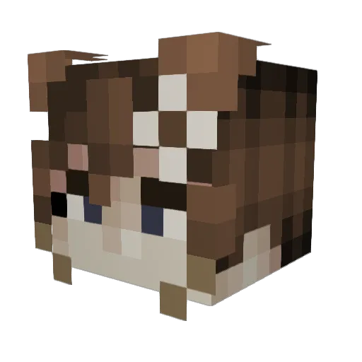 WildIzDum Minecraft avatar head, 3D render