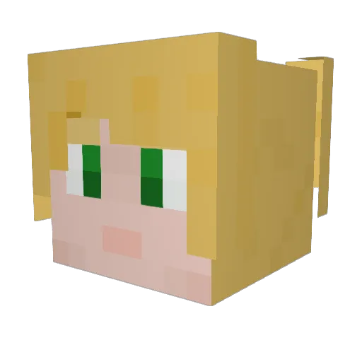 WildMonkey1304 Minecraft avatar head, 3D render