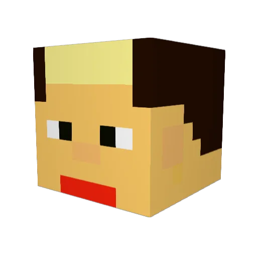 WildOfSun Minecraft avatar head, 3D render