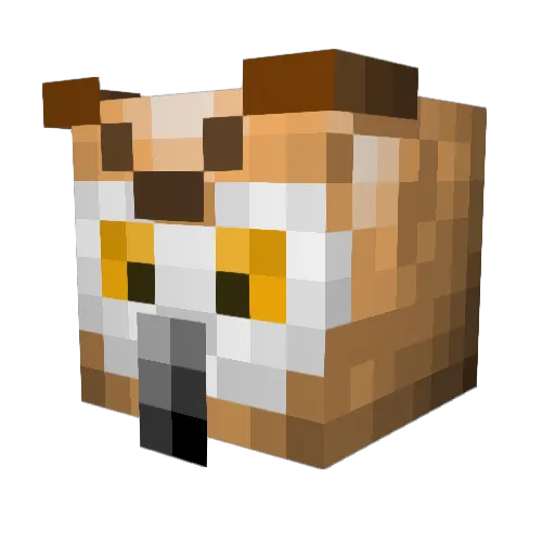WildOwls Minecraft avatar head, 3D render