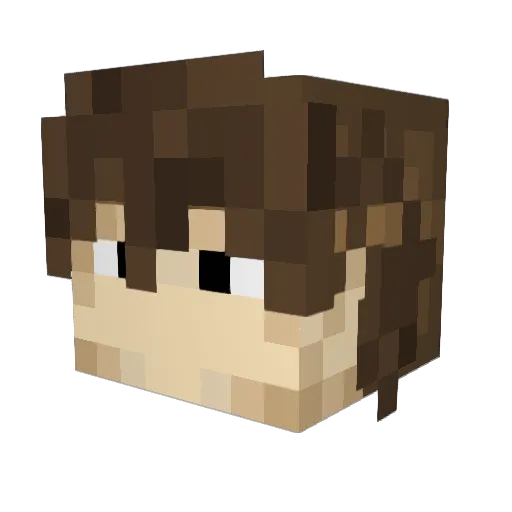 WildPippo04 Minecraft avatar head, 3D render
