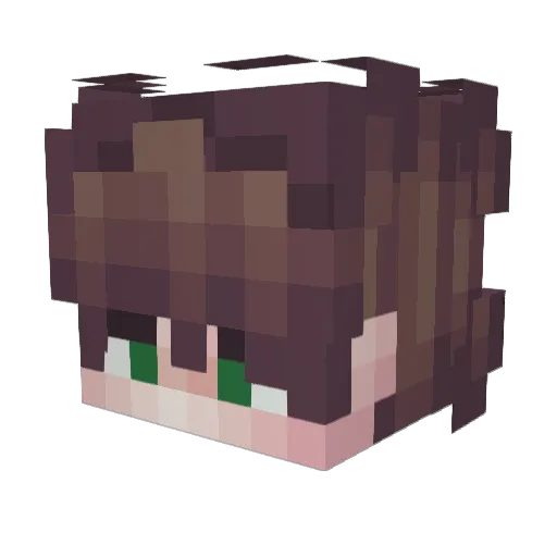 WildRider4 Minecraft avatar head, 3D render