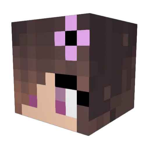 WildSquirrel663 Minecraft avatar head, 3D render