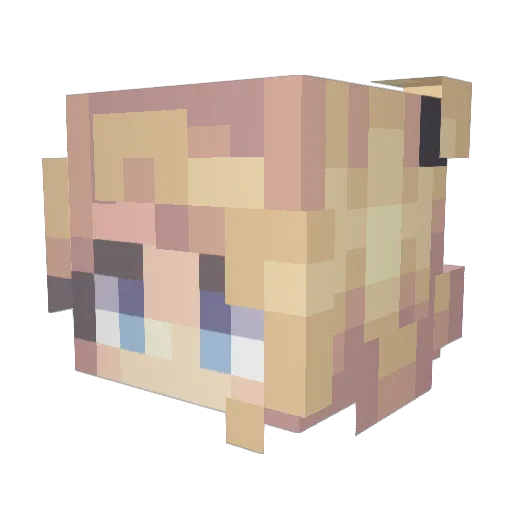 WildStyleSienna Minecraft avatar head, 3D render