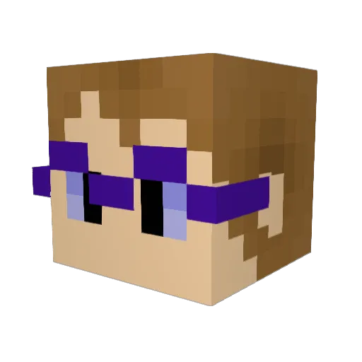 WildSurge Minecraft avatar head, 3D render