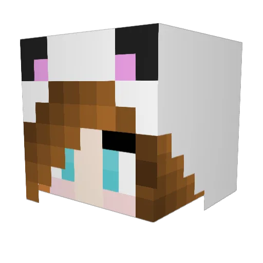 WildTiger2004 Minecraft avatar head, 3D render