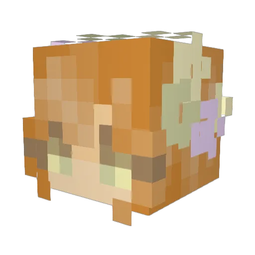 WildTigers236 Minecraft avatar head, 3D render