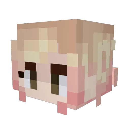 WildTomato93 Minecraft avatar head, 3D render