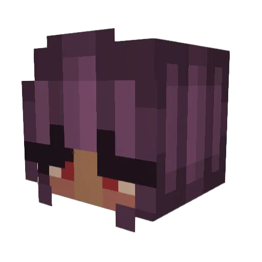 WildWarrior22811 Minecraft avatar head, 3D render