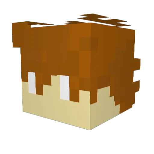 WildWolfGamr Minecraft avatar head, 3D render