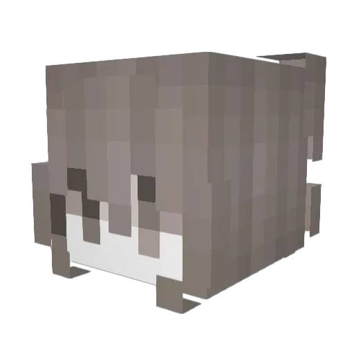 WildWolfPup2012 Minecraft avatar head, 3D render