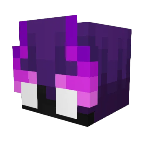 Wild_Bill_VA Minecraft avatar head, 3D render