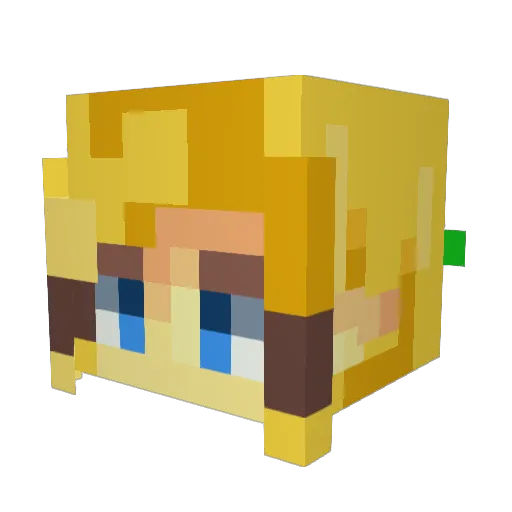 Wild_Cat_800 Minecraft avatar head, 3D render