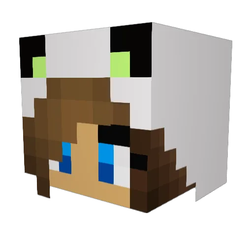 Wild_Panda15 Minecraft avatar head, 3D render