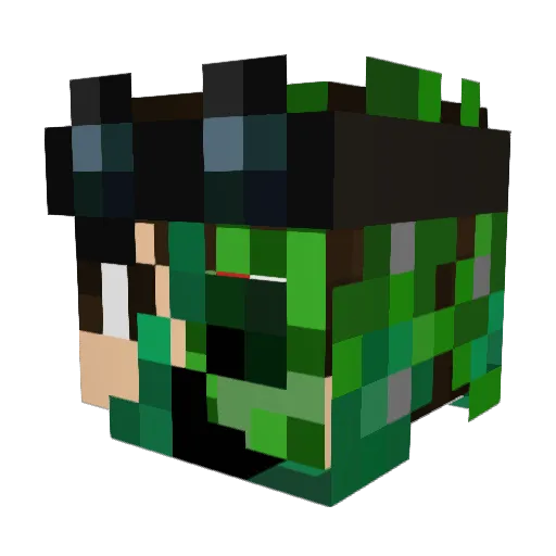 Wild_Smurf Minecraft avatar head, 3D render