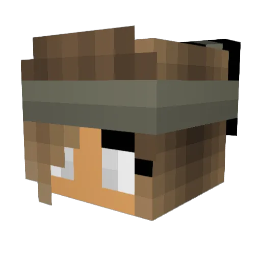 Wild_cali Minecraft avatar head, 3D render