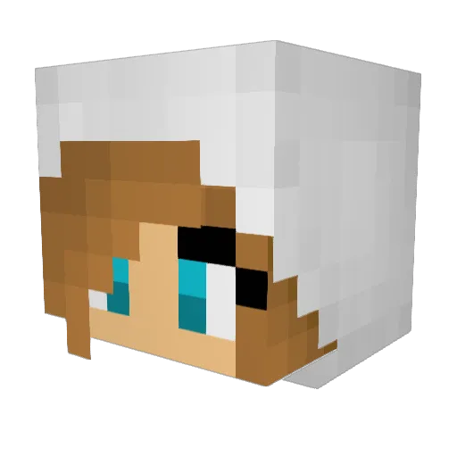 Wildamuffins Minecraft avatar head, 3D render