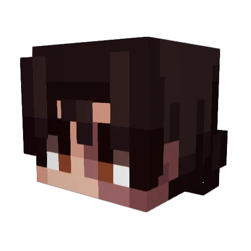 Wildaron Minecraft avatar head, 3D render