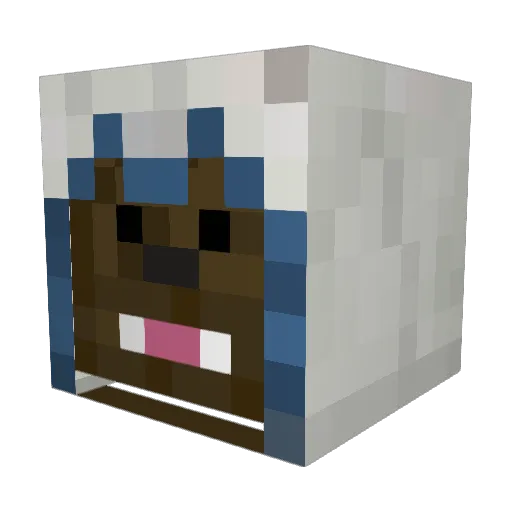 Wildbacca101 Minecraft avatar head, 3D render