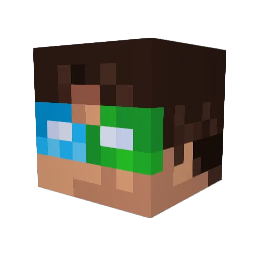 Wildcard127 Minecraft avatar head, 3D render