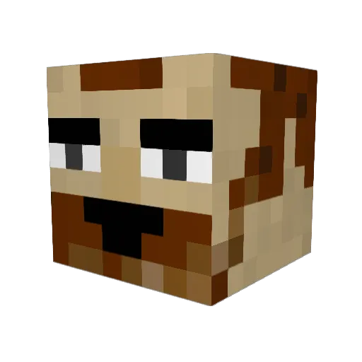 Wildcard242 Minecraft avatar head, 3D render