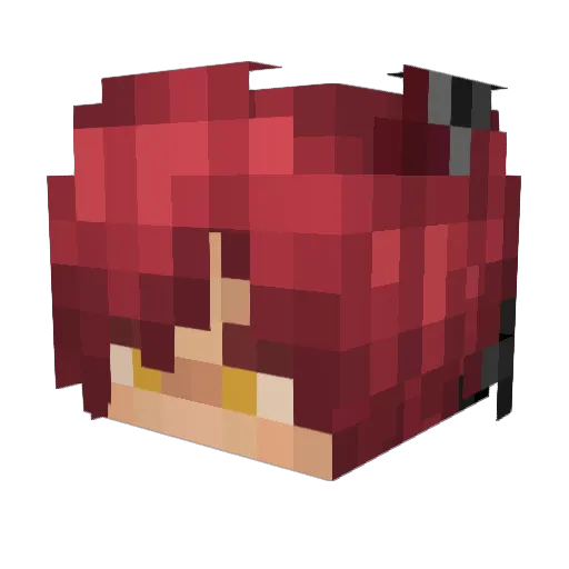 WildcardX33 Minecraft avatar head, 3D render