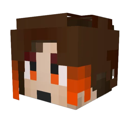 Wildcard_Ninja87 Minecraft avatar head, 3D render