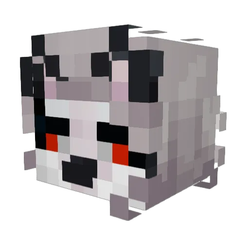 Wildcat0916 Minecraft avatar head, 3D render