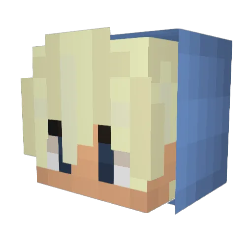Wildcat1738 Minecraft avatar head, 3D render