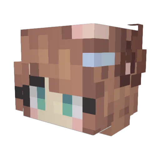 WildcatCookie69 Minecraft avatar head, 3D render